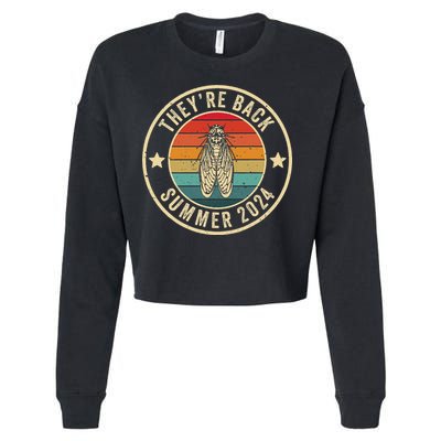 Vintage Cicada 2024 They Are Back Summer 2024 Cropped Pullover Crew
