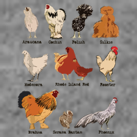 Vintage Chicken Breeds Farm Animals Day Support Local Farmer Toddler Hoodie