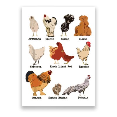 Vintage Chicken Breeds Farm Animals Day Support Local Farmer Poster