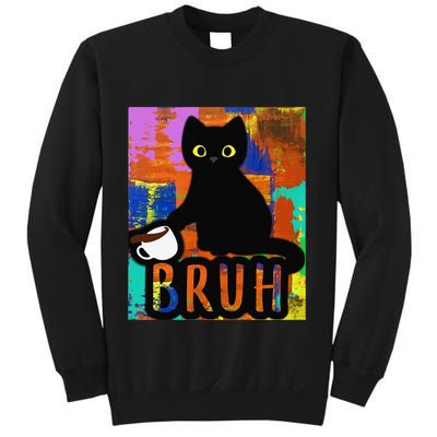 Vintage Cat Bruh Colorful Boy Girl Funny Sweatshirt
