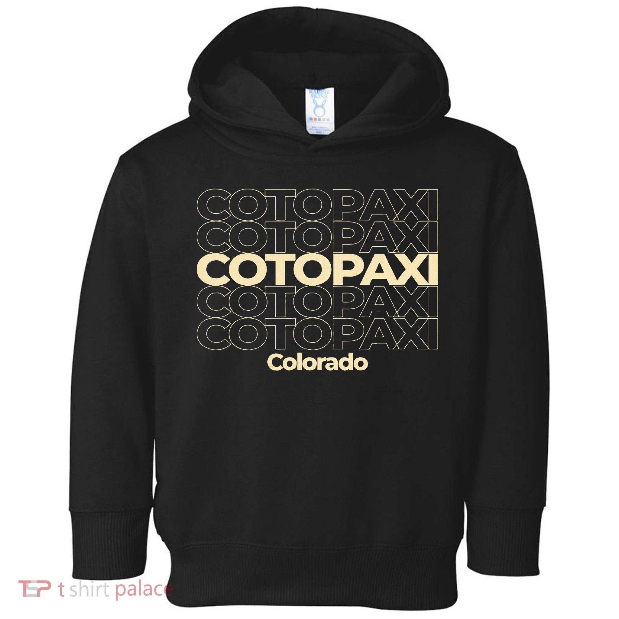 Vintage Cotopaxi Colorado Repeating Toddler Hoodie