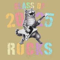 Vintage Cat Class Of 2025 Rocks Graduation Write My Hoodie
