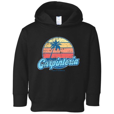 Vintage Carpinteria California Ca Classic 70s Retro Surfer Toddler Hoodie