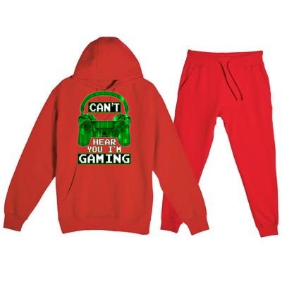 Vintage Computer Code Gamer Gift Can't Hear You I'm Gaming Gift Premium Hooded Sweatsuit Set