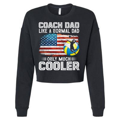 Volleyball Coach Dad Volleyball Players American Flag Gift Cropped Pullover Crew
