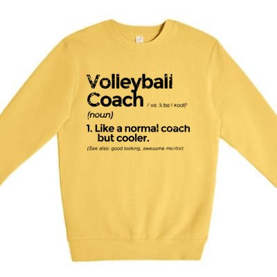 Volleyball Coach Definition Funny Gift Premium Crewneck Sweatshirt