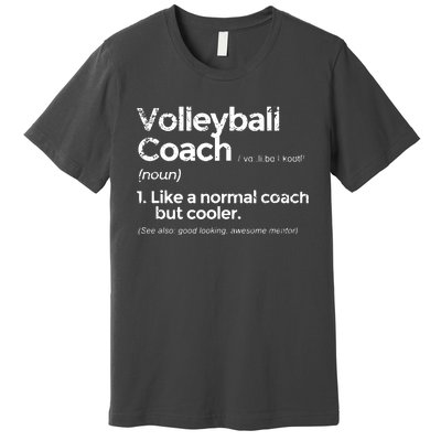 Volleyball Coach Definition Funny Gift Premium T-Shirt