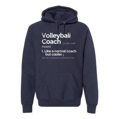 Volleyball Coach Definition Funny Gift Premium Hoodie