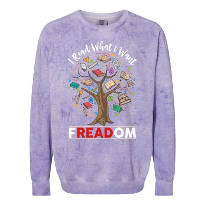 Vintage Censorship Freedom Reading Nerd I Read Banned Books Gift Colorblast Crewneck Sweatshirt