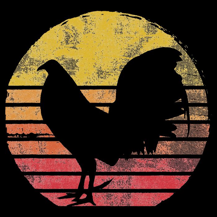 Vintage Cock Fight Rooster Polo
