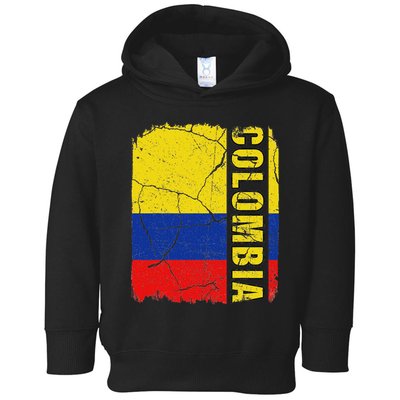 Vintage Colombian Flag Colombia Pride Roots Heritage Gift Toddler Hoodie