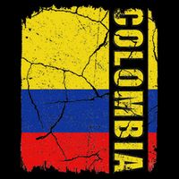 Vintage Colombian Flag Colombia Pride Roots Heritage Gift Tank Top