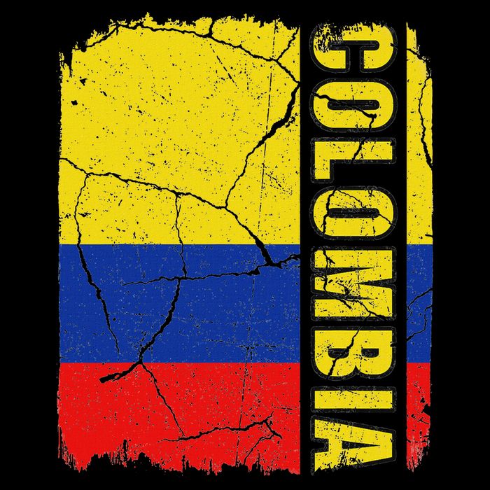Vintage Colombian Flag Colombia Pride Roots Heritage Gift Tank Top