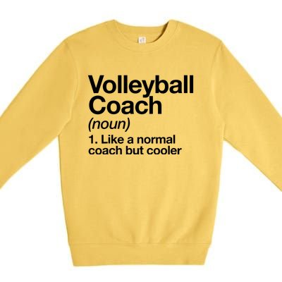 Volleyball Coach Funny Sports Definition Trainer Instructor Premium Crewneck Sweatshirt