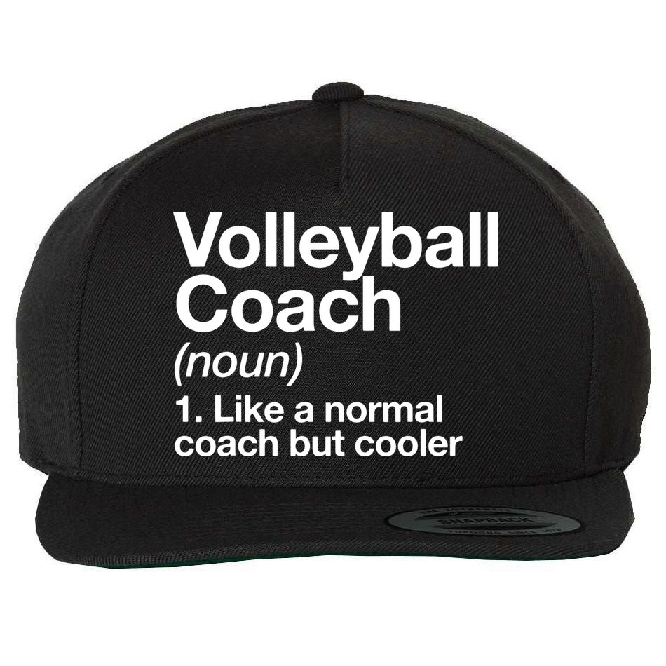 Volleyball Coach Funny Sports Definition Trainer Instructor Wool Snapback Cap