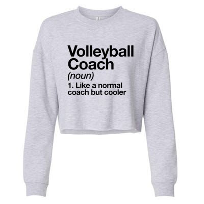 Volleyball Coach Funny Sports Definition Trainer Instructor Cropped Pullover Crew