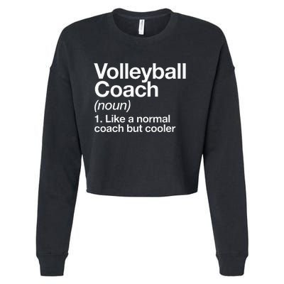 Volleyball Coach Funny Sports Definition Trainer Instructor Cropped Pullover Crew