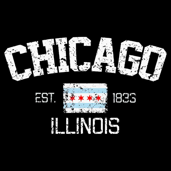 Vintage Chicago Illinois Est. 1833 Souvenir Doggie Tank