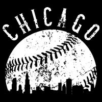 Vintage Chicago Illinois Skyline Apparel Womens T-Shirt