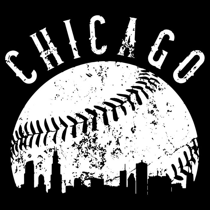 Vintage Chicago Illinois Skyline Apparel Womens T-Shirt