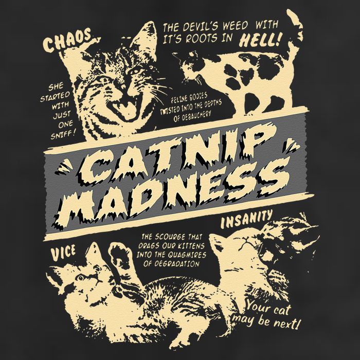Vintage Catnip Madness Cute Kitten Funny Cat Men Women Hat