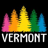 Vermont Colorful Nature T-Shirt