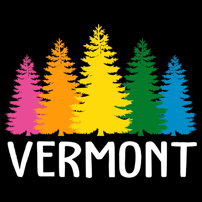 Vermont Colorful Nature T-Shirt