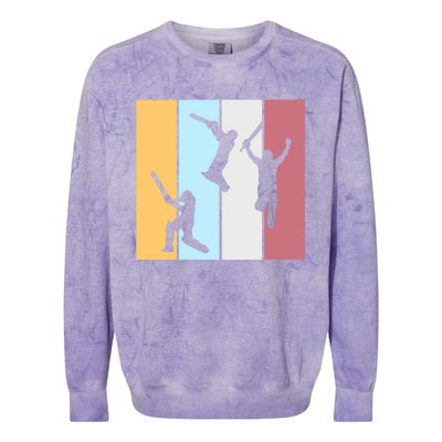 Vintage Cricket Player Sports Lover Team Coach Graphic Premium Colorblast Crewneck Sweatshirt