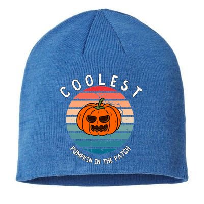 Vintage Coolest Pumpkin Happy Halloween Vibe Costume Gift Sustainable Beanie