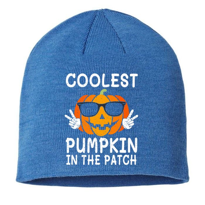 Vintage Coolest Pumpkin In The Patch Halloween Autumn Funny Gift Sustainable Beanie