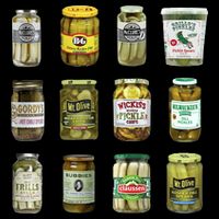 Vintage Canned Pickles Lover Funny Trendy T-Shirt