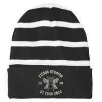 Vintage Cicada Reunion 2024 Cicada Broods Xix And Xiii Striped Beanie with Solid Band