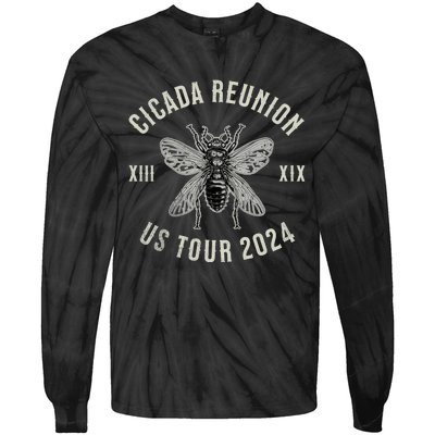 Vintage Cicada Reunion 2024 Cicada Broods Xix And Xiii Tie-Dye Long Sleeve Shirt