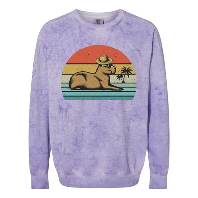 Vintage Capybara Retro Capybara Colorblast Crewneck Sweatshirt