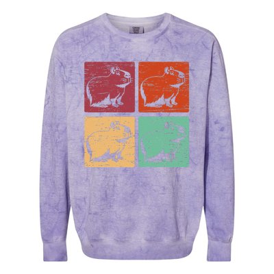 Vintage Capybara Rodent Animals Vintage Capybaras Capybara  Colorblast Crewneck Sweatshirt