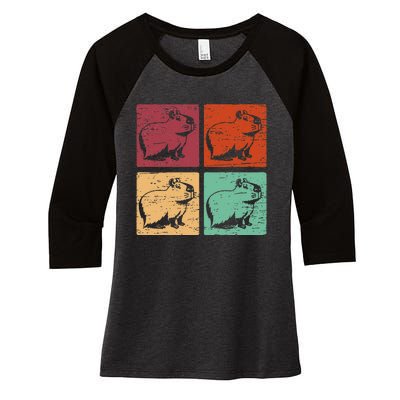 Vintage Capybara Rodent Animals Vintage Capybaras Capybara  Women's Tri-Blend 3/4-Sleeve Raglan Shirt