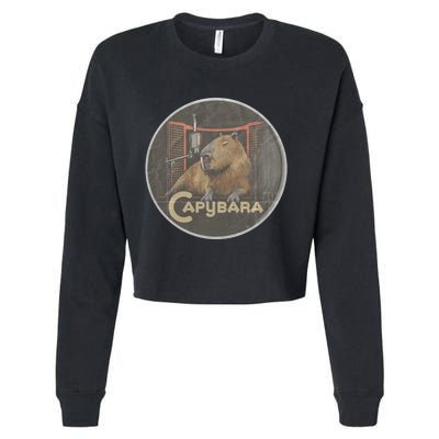 Vintage Capybara Retro Capybara Cropped Pullover Crew