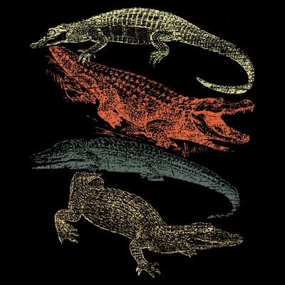 Vintage Crocodiles Retro Crocodile T-Shirt