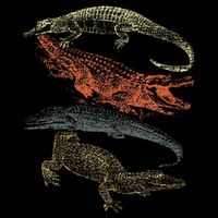 Vintage Crocodiles Retro Crocodile Bucket Hat