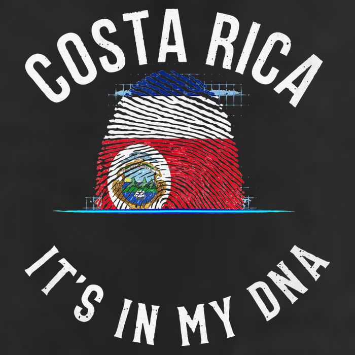 Vintage Costa Rica Flag It Is In My DNA Costa Rican Gift Hat