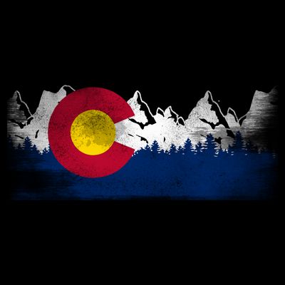 Vintage Colorado State Flag Colorado Mountain T-Shirt