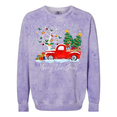 Vintage Christmas Tree Pajama Family Xmas Colorblast Crewneck Sweatshirt