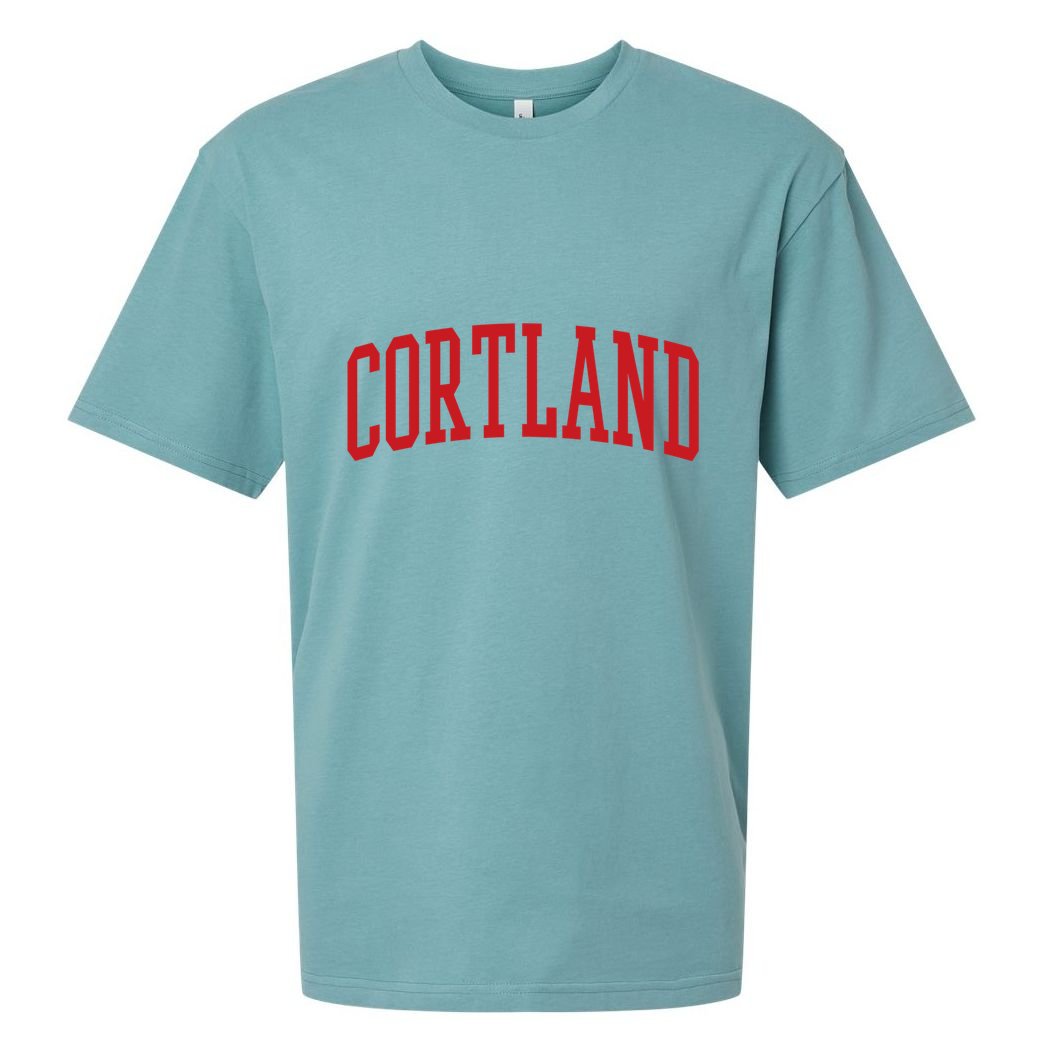 Varsity Cortland Sueded Cloud Jersey T-Shirt
