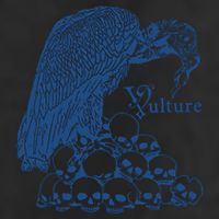 Vulture Cool Vulture Skull Graphic 7 Panel Mesh Trucker Snapback Hat