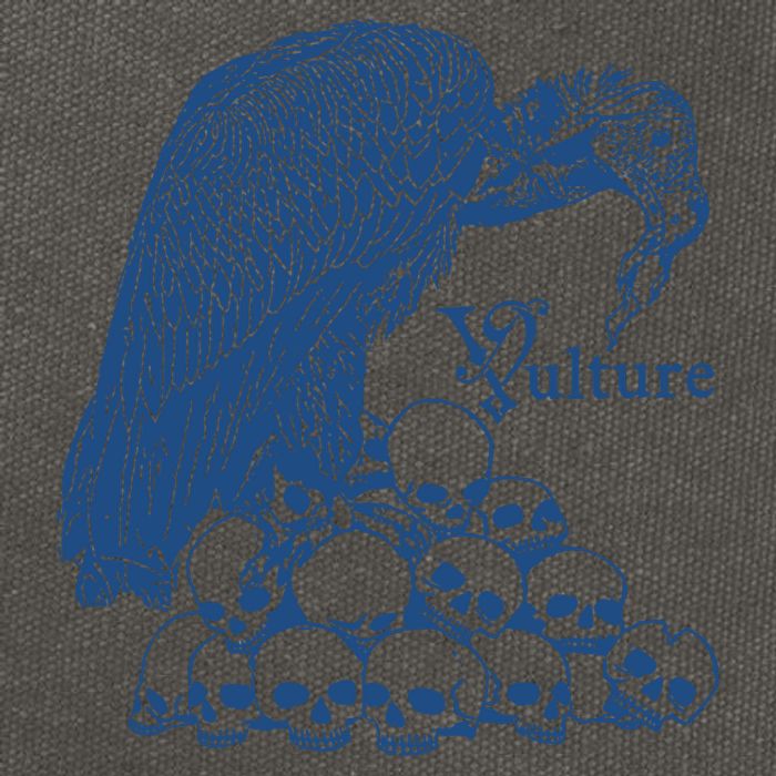 Vulture Cool Vulture Skull Graphic Cotton Canvas Backpack
