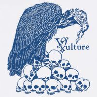 Vulture Cool Vulture Skull Graphic Cooling Performance Crew T-Shirt