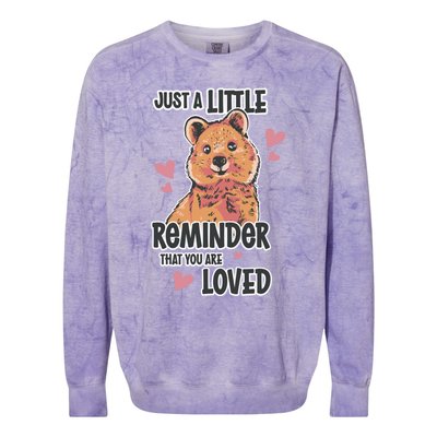 Valentines Day Bear Lovely Heart Relationship Roce Love Funny Gift Colorblast Crewneck Sweatshirt