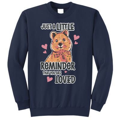 Valentines Day Bear Lovely Heart Relationship Roce Love Funny Gift Sweatshirt