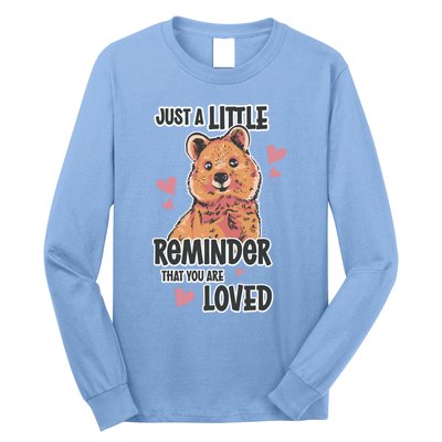 Valentines Day Bear Lovely Heart Relationship Roce Love Funny Gift Long Sleeve Shirt