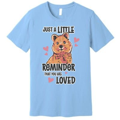 Valentines Day Bear Lovely Heart Relationship Roce Love Funny Gift Premium T-Shirt